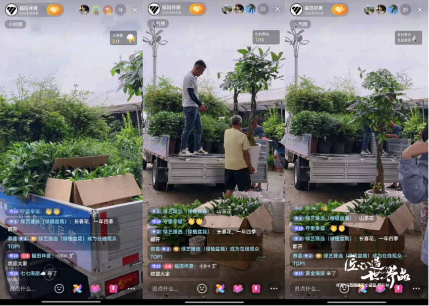 图片12.png