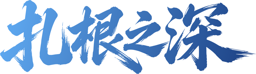 图片24.png
